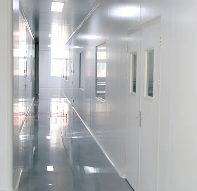 Propesyonal na Endoscope Cleaning Brush Factory na may GMP Standard Modern Cleanrooms