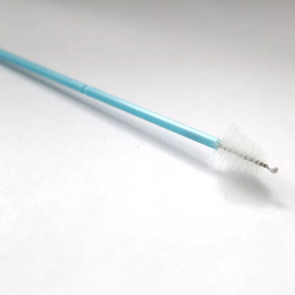 Disposable Gynecological Brush